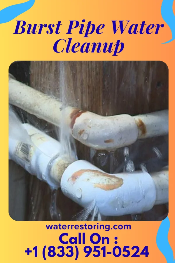 Burst Pipe Water Cleanup in Menands, NY