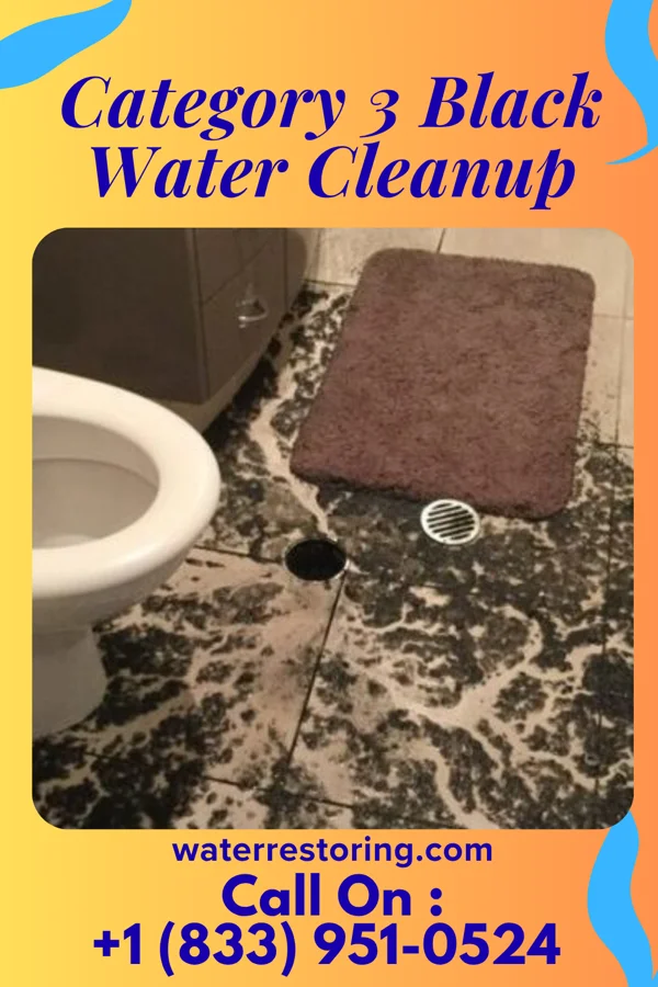 Category 3 Black Water Cleanup in Menands, NY