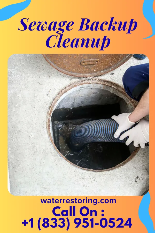 Sewage Backup Cleanup in Menands, NY