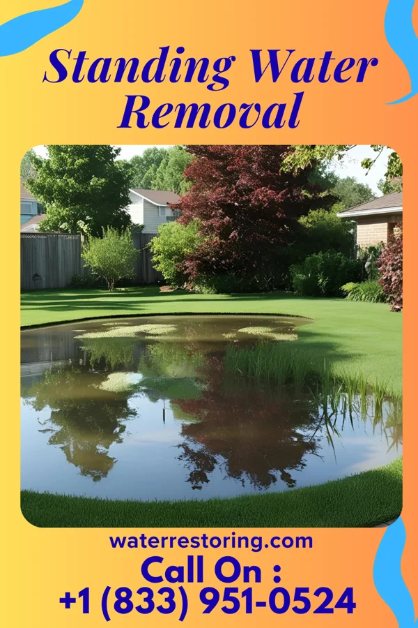 Standing Water Removal in Menands, NY